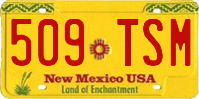 NM license plate 509TSM