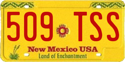 NM license plate 509TSS