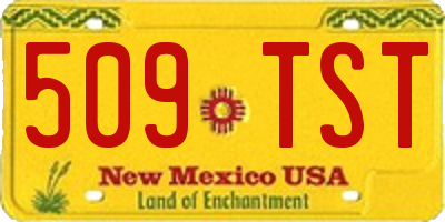 NM license plate 509TST