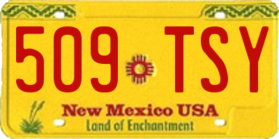 NM license plate 509TSY