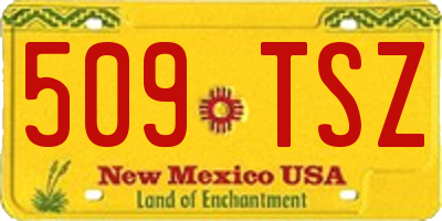 NM license plate 509TSZ