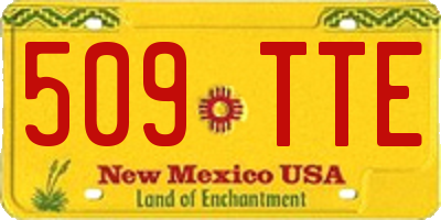 NM license plate 509TTE