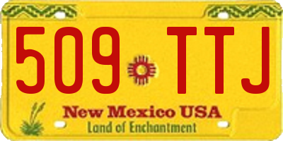 NM license plate 509TTJ