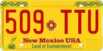 NM license plate 509TTU