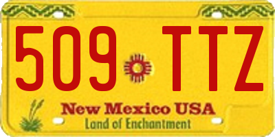 NM license plate 509TTZ