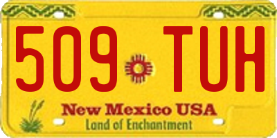 NM license plate 509TUH