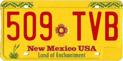 NM license plate 509TVB
