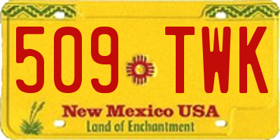 NM license plate 509TWK