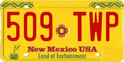 NM license plate 509TWP