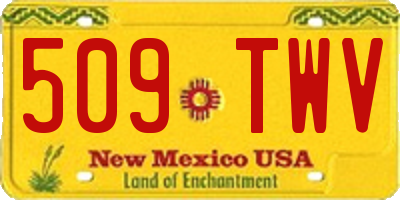 NM license plate 509TWV