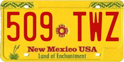NM license plate 509TWZ