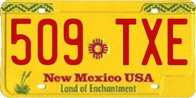 NM license plate 509TXE