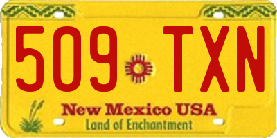NM license plate 509TXN