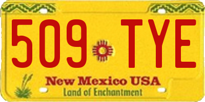 NM license plate 509TYE