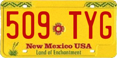 NM license plate 509TYG