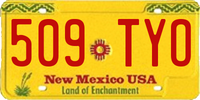 NM license plate 509TYO