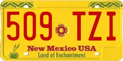 NM license plate 509TZI