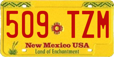 NM license plate 509TZM