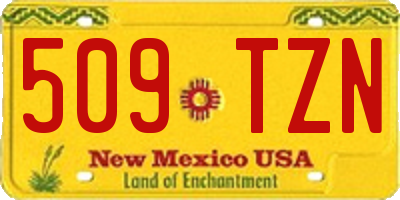 NM license plate 509TZN