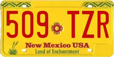 NM license plate 509TZR