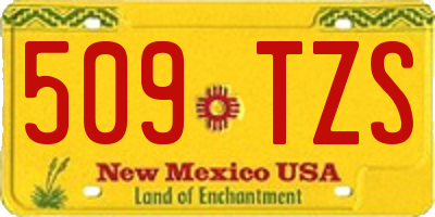 NM license plate 509TZS