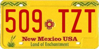 NM license plate 509TZT