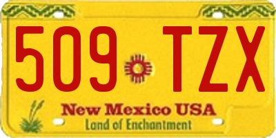 NM license plate 509TZX