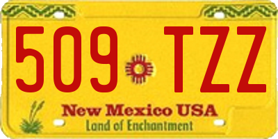 NM license plate 509TZZ