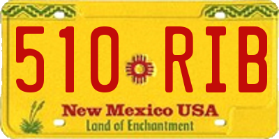 NM license plate 510RIB