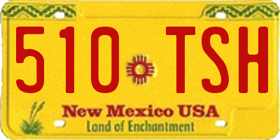 NM license plate 510TSH