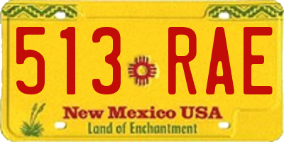NM license plate 513RAE