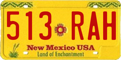 NM license plate 513RAH