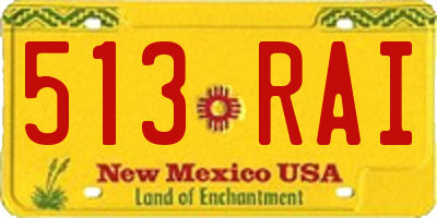 NM license plate 513RAI