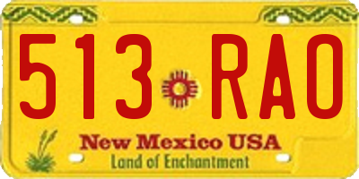 NM license plate 513RAO