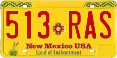 NM license plate 513RAS