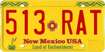 NM license plate 513RAT