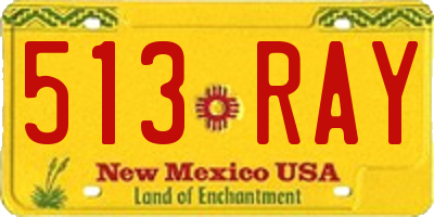 NM license plate 513RAY