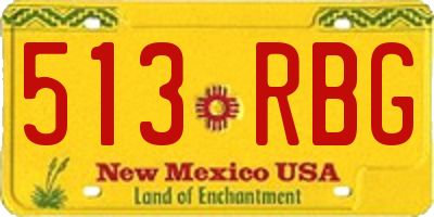 NM license plate 513RBG