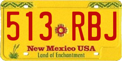 NM license plate 513RBJ