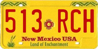NM license plate 513RCH
