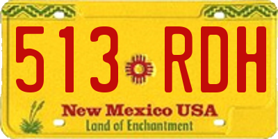 NM license plate 513RDH