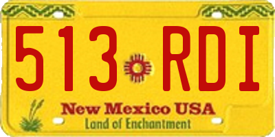 NM license plate 513RDI