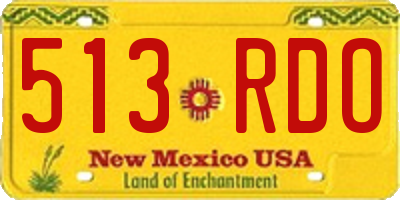 NM license plate 513RDO