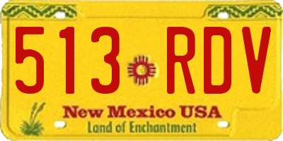 NM license plate 513RDV