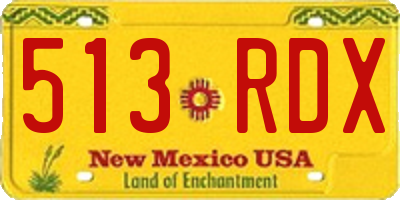 NM license plate 513RDX