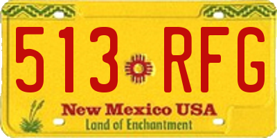 NM license plate 513RFG