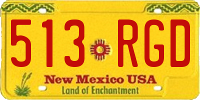 NM license plate 513RGD