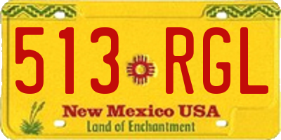 NM license plate 513RGL