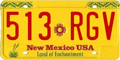NM license plate 513RGV