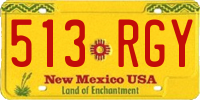 NM license plate 513RGY